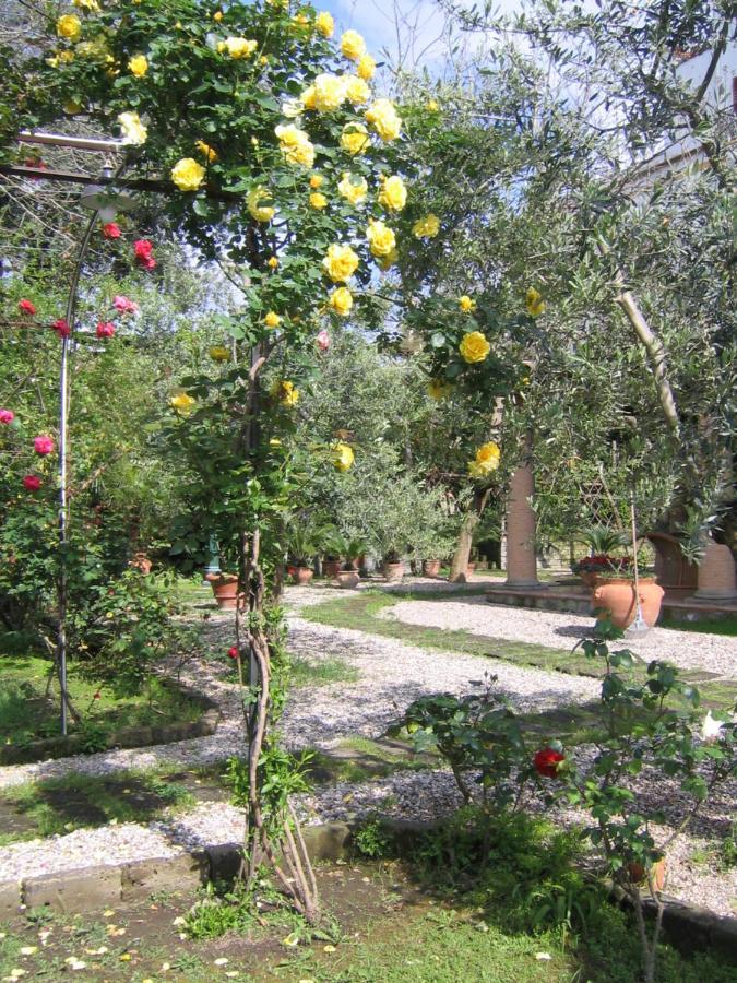 סורנטו Suite Lidia B&B מראה חיצוני תמונה