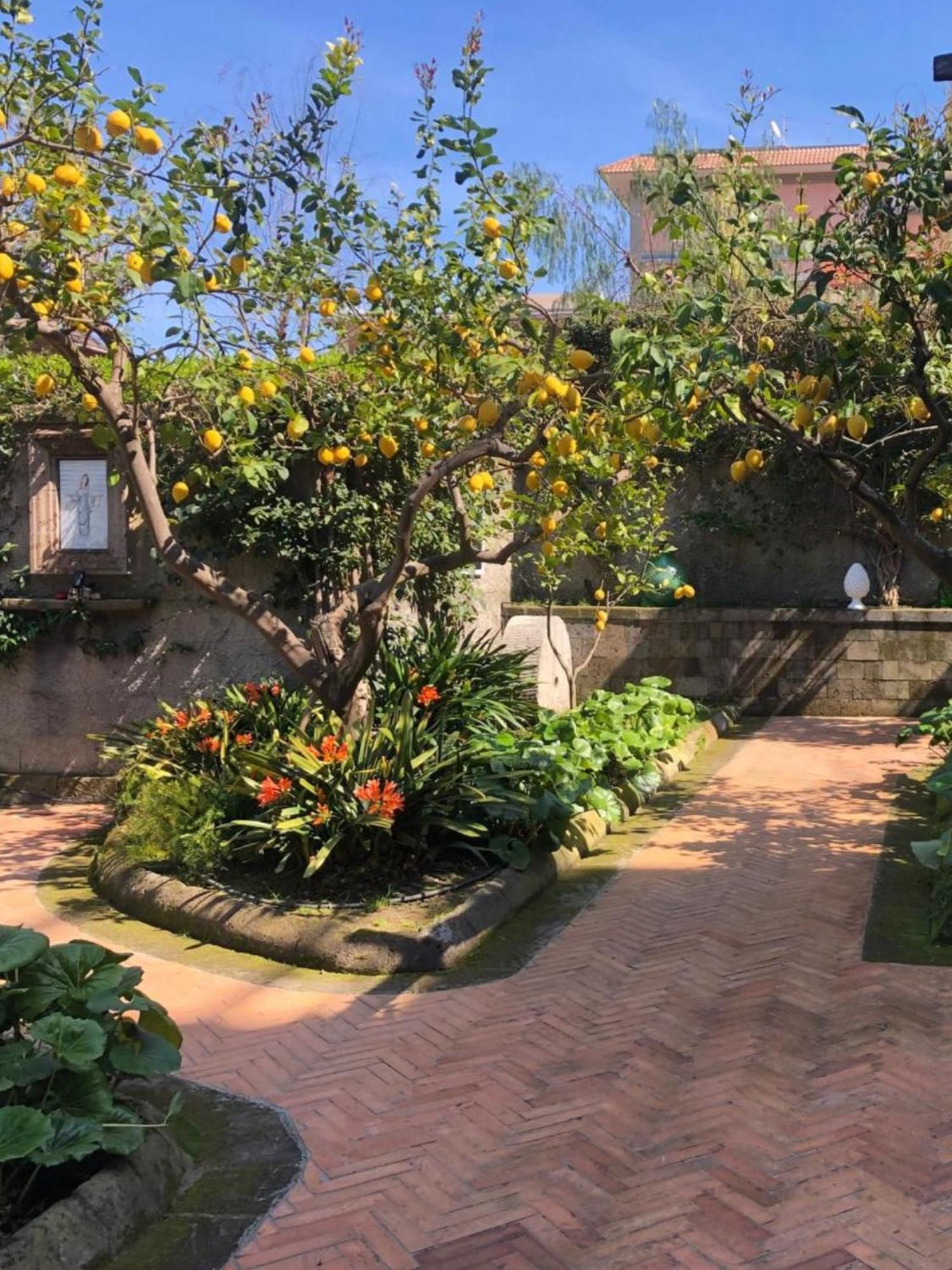 סורנטו Suite Lidia B&B מראה חיצוני תמונה