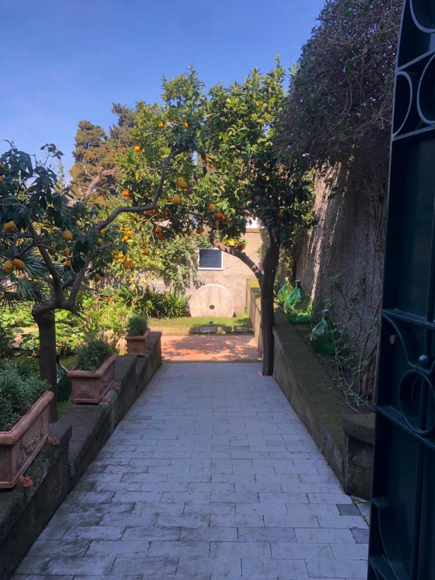 סורנטו Suite Lidia B&B מראה חיצוני תמונה